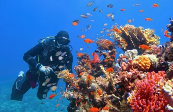 Scuba diver