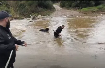 Χαλκιδική