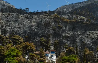 Εγκρίθηκε ομόφωνα στην Κομισιόν η γνωμοδότηση του γγ της ΚΕΔΕ Δ. Καφαντάρη για τις δασικές πυρκαγιές