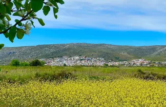 Πάρκο Χίλια Δέντρα Μουριές