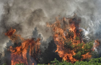 Φωτιά στο Βροντερό Πρεσπών