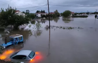 Καρδίτσα