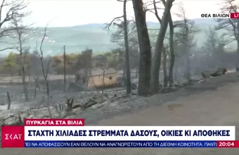 Βίλια: Σε 3 μέτωπα η μάχη με τις φλόγες- Εκτιμήσεις του Αστεροσκοπείου για την πύρινη μανία