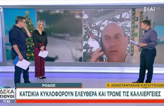 κατσίκια Ρόδος 