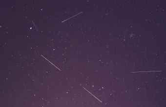 Starlink