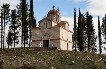 tatoi