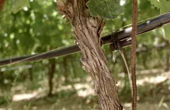 Λύσεις διαχείρισης νερού ΔΠΘ