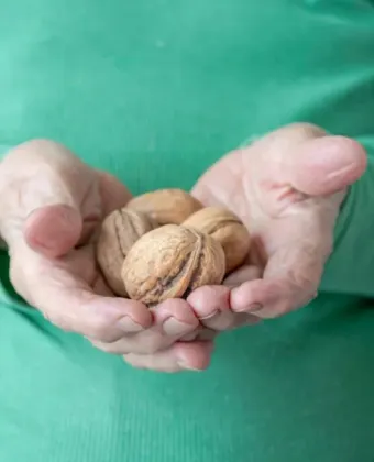 ξηροί καρποί