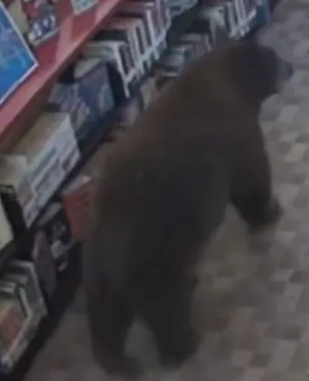 Καλιφόρνια
