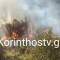 Φωτιά σε δασική έκταση στο Λουτράκι