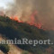 Λαμία: Μεγάλη φωτιά σε εξέλιξη στην Καμηλόβρυση