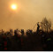 Σε κατοικημένη περιοχή η φωτιά στη Σταμάτα Διονύσου - Αναζωπυρώσεις στην Κερατέα 