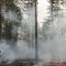 Καλιφόρνια: Ανεξέλεγκτη μαίνεται η μεγάλη πυρκαγιά