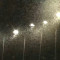 Λάρισα: Ένα ασύλληπτα μεγάλο σμήνος από έντομα κάλυψε την πόλη - Βίντεο