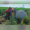 Ένα πετρελαιοφόρο φορτηγό συγκρούστηκε με ένα μίνιβαν σήμερα Σάββατο στα δυτικά της χώρας