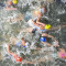 Paris Olympics Seine Water Quality Triathlon