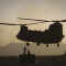 Chinook 