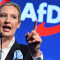 AfD 