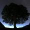 Sycamore Gap