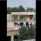 Πολυτεχνειούπολη: Νέο βίντεο με ξυλοδαρμό μεταξύ κουκουλοφόρων