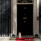 Μ. Βρετανία: Λάρι, ο μόνιμος κάτοικος της Downing Street