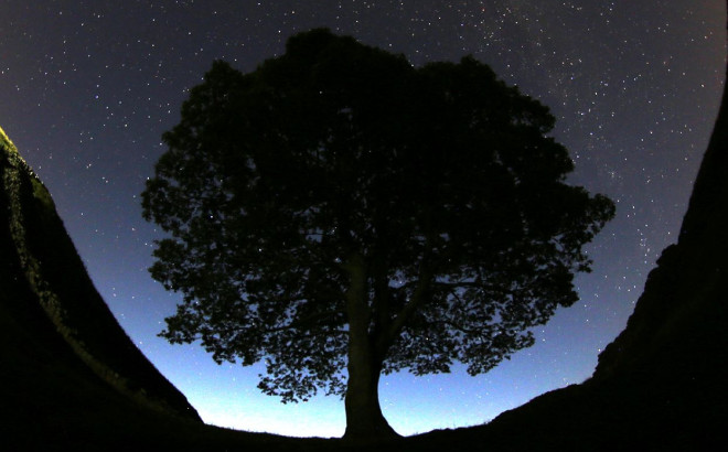 Sycamore Gap