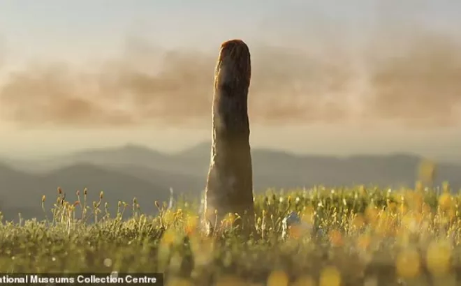 πρωτοταξίτες