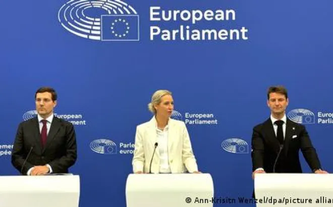 Βάιντελ AfD Στρασβούργο