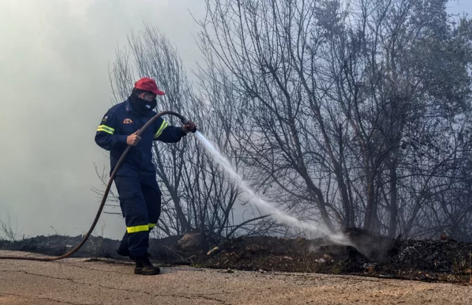 Μεσσηνία: Φωτιά τώρα στο Δήμο Πύλου - Νέστορος