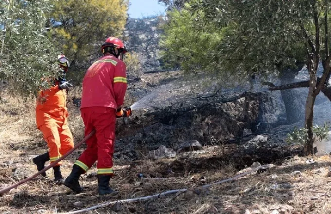 Λασίθι: Πυρκαγιά σε δασική έκταση στο δήμο Αγίου Νικολάου - Επιχειρούν 60 πυροσβέστες