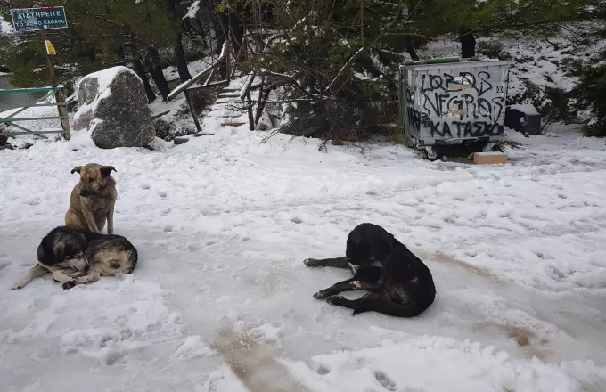 Χωρίς ρεύμα περιοχές στην Αττική - To χιόνι εμποδίζει την αποκατάσταση