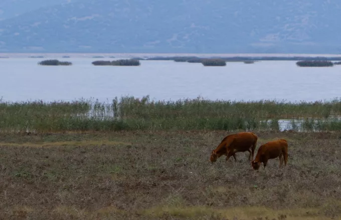 Επιστρέφονται 280 εκατ. ευρώ στην Ελλάδα με απόφαση του Ευρωπαϊκού Δικαστηρίου (pdf)