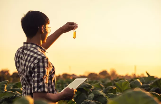 British American Tobacco: Εξετάζουν εμβόλιο κατά του κορωνοϊού από φυτό καπνού