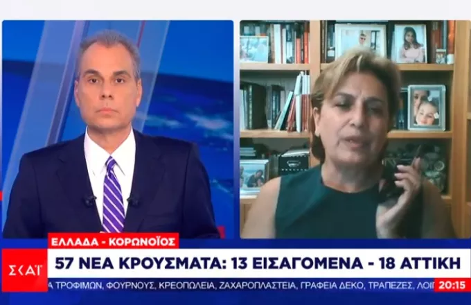 Κοτανίδου στον ΣΚΑΪ: Κλείσιμο μαγαζιών αν συνεχιστεί η αύξηση των κρουσμάτων 