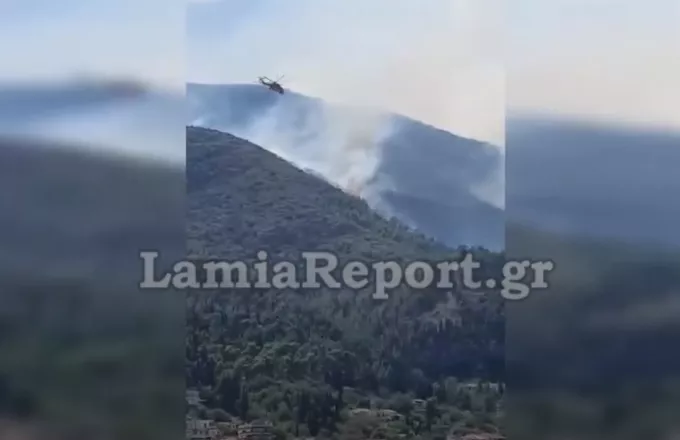 Λαμία: Φωτιά στην Αταλάντη (vid)