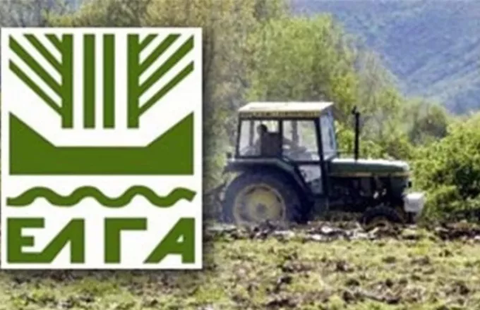 ΕΛΓΑ: Αποζημιώσεις 38 εκατ. ευρώ για φυτική παραγωγή και ζωικό κεφάλαιο