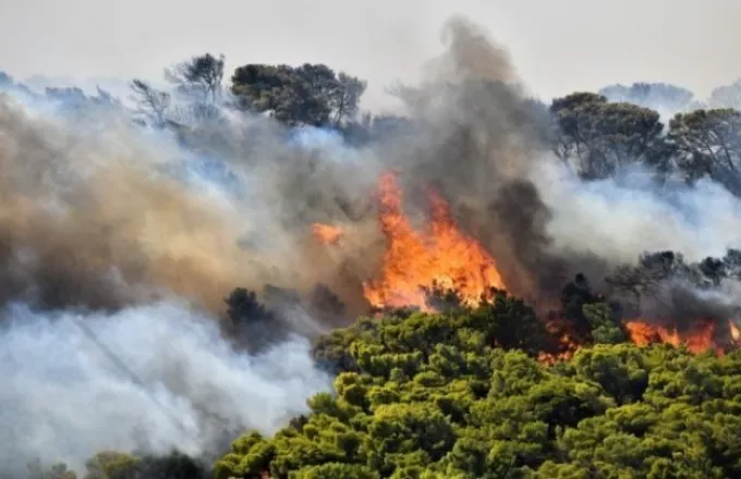 Αλεξανδρούπολη: Αναζωπυρώθηκε η πυρκαγιά μεταξύ Μελίας και Νίψας