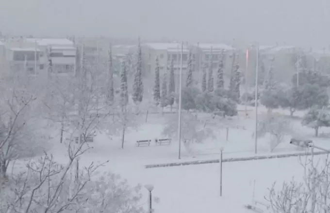 Στα λευκά έντυσε την Αττική η... Μήδεια: Χιόνι από το Ολυμπιακό Χωριό μέχρι την Πειραϊκή! (pics)
