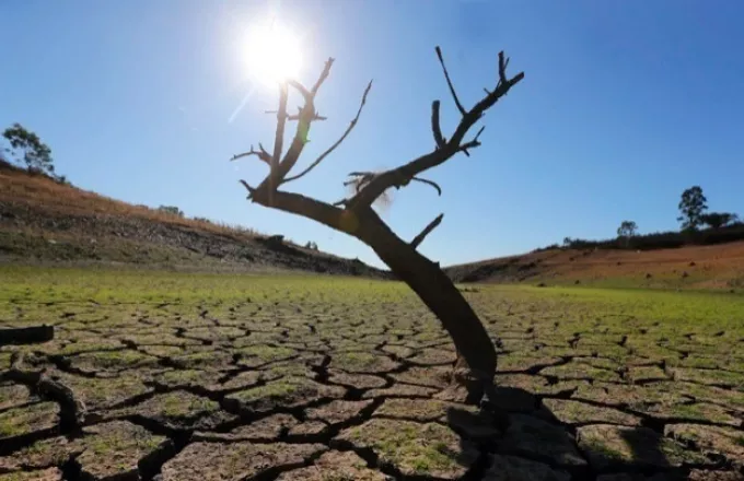 Κλίμα: Τριπλάσιες οι απώλειες στη συγκομιδή λόγω της ξηρασίας στην Ευρώπη τα τελευταία 50 χρόνια