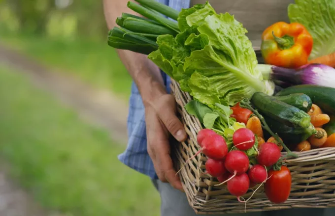 Ελλείψεις λαχανικών στη Βρετανία: Φάτε γογγύλια αντί για ντομάτες λέει υπουργός