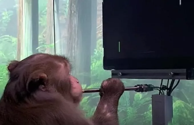 Neuralink: Η εταιρία του Ίλον Μάσκ παρουσίασε μαϊμού να παίζει video game μέσω του νου της (vid)