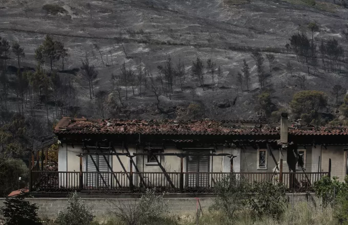 Τεράστια καταστροφή σε Κορινθία - Δυτική Αττική: Κάηκαν πάνω από 71.000 στρέμματα 
