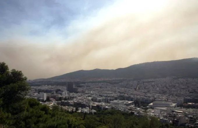 Πυρκαγιά -Σχίνο: Συστάσεις για την προστασία από το νέφος δασικών πυρκαγιών- Τι να προσέξετε