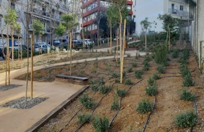 Ανθίζουν τα "πάρκα τσέπης" του Δήμου Αθηναίων