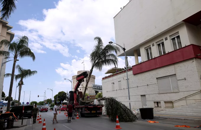 Φώτα, κάμερα... σουβλάκι! Το Χόλιγουντ έρχεται στην Ελλάδα