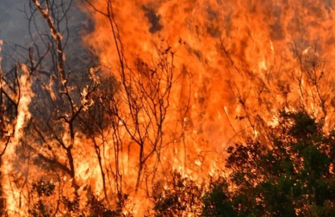Ν. Μεξικό: Δύο νεκροί και πάνω από 200 κατεστραμμένα σπίτια από πυρκαγιά που μαίνεται ανεξέλεγκτη 