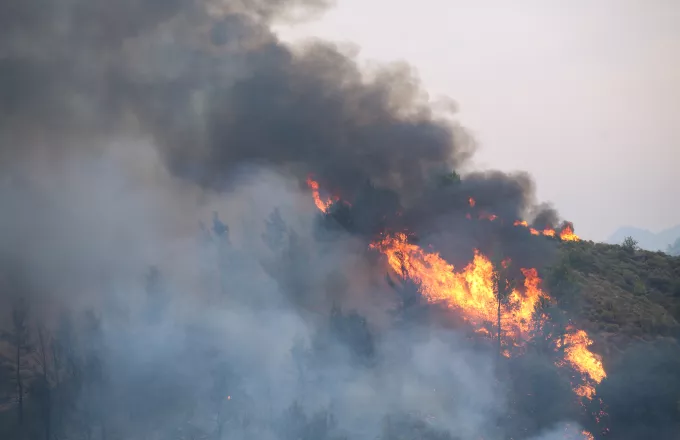 Κρήτη: Πυρκαγιά στη Σητεία - Μεγάλη κινητοποίηση της πυροσβεστικής