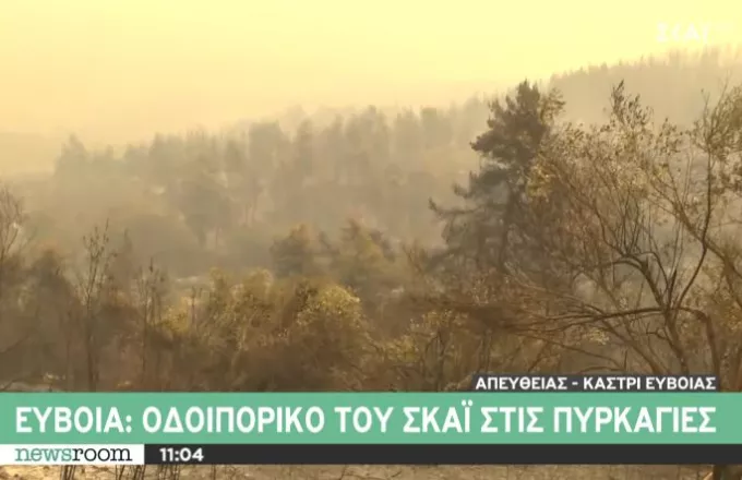 Εύβοια: Φουντώνει το πύρινο μέτωπο από Γαλατσώνα προς Αβγαριά