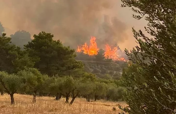 Μαίνεται η πυρκαγιά στη Ρόδο - Καλύτερη η εικόνα στη Φθιώτιδα 