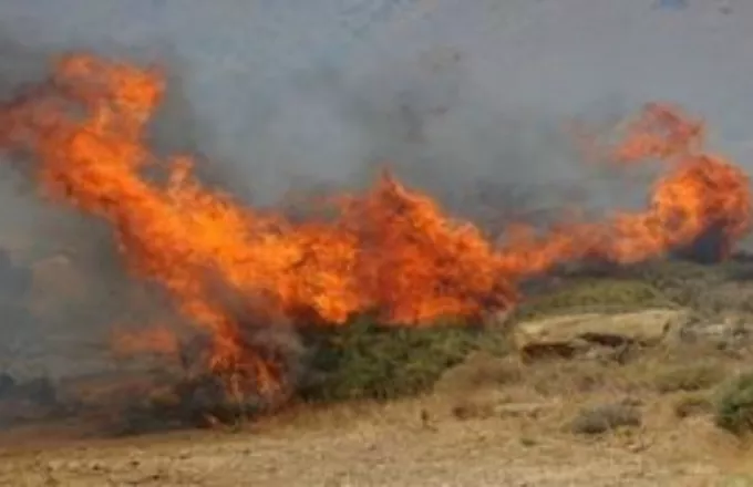 Μεγάλη φωτιά στη Βόνη Πεδιάδος στην Κρήτη - Άνεμοι 6 μποφόρ στην περιοχή